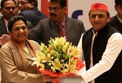 sp president Akhilesh Yadav meet to Mayawati after declared pollsters