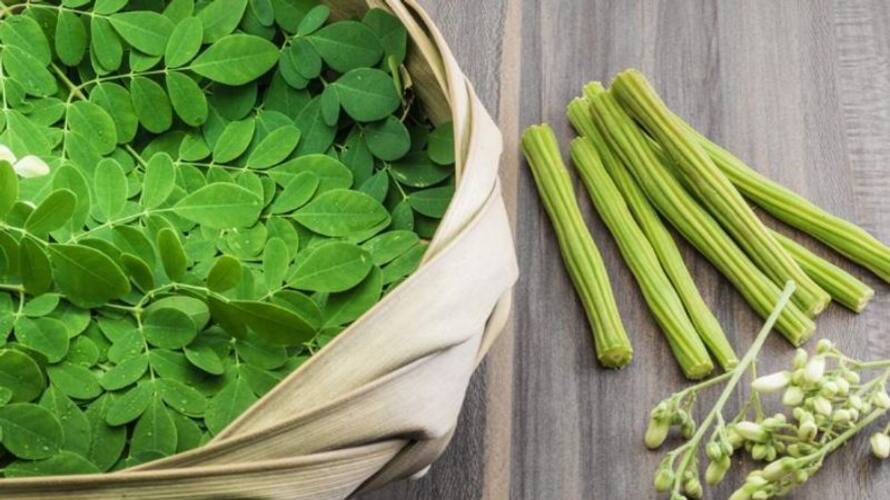 health benefits of Moringa Leaves rsl health benefits of Moringa Leaves rsl