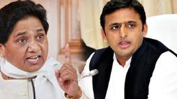 Sp-bsp alliance formed separate strategy for after poll result