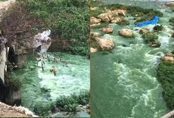 Kolar: KC Valley water turns green due to pollutants; people see red over the issue