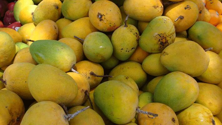 carbon stone mango fruit sale in more palace