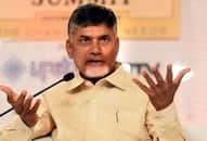 Andhra Pradesh: Four TDP MLAs suspended from Assembly for one day; Naidu leads walkout