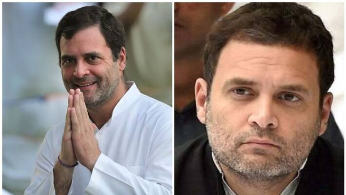rahul gandhi Wayanad won rahul gandhi Wayanad won
