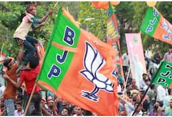 BJP gradually gains support from all quarter ends caste politics in Uttar Pradesh, stunned SP-BSP Mahagathbandhan
