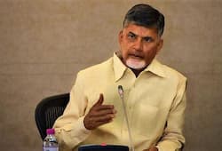 Andhra Pradesh Naidu requests TDP leaders workers to not be discouraged by defeat