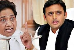 Akhilesh failed to get even Yadav votes says Mayawati, splits with SP and will contest bypolls alone