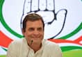 Environmental issues are political issues: Rahul Gandhi