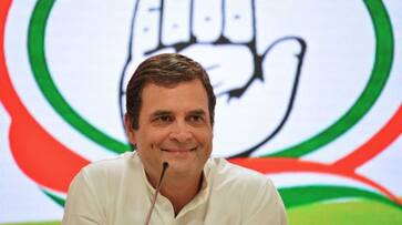 Environmental issues are political issues: Rahul Gandhi