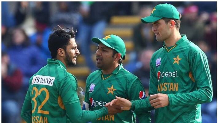 PCB bans WAGs of pakistan players accompanying during World Cup PCB bans WAGs of pakistan players accompanying during World Cup