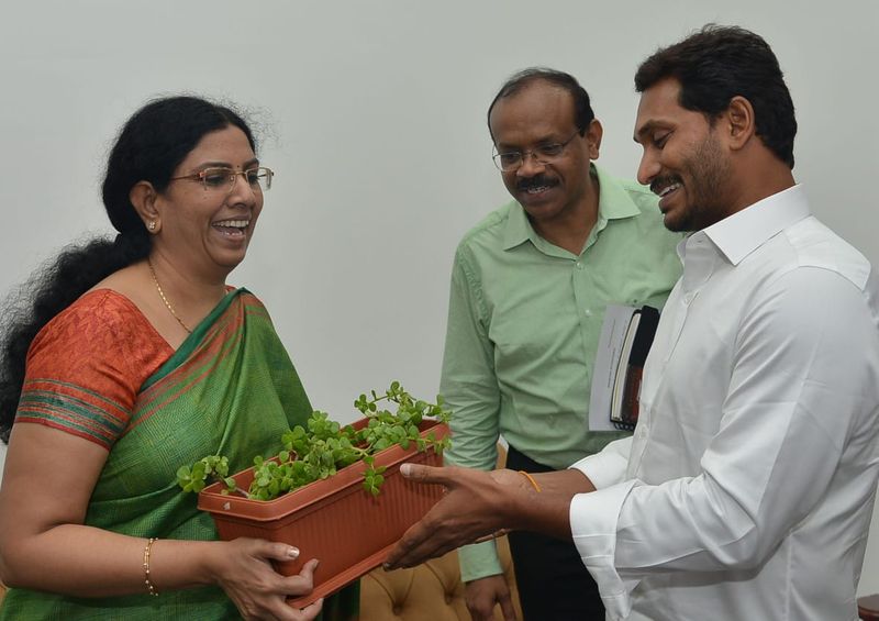 జగన్ వద్దకు క్యూ కట్టిన అధికారులు