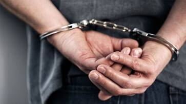 Kerala Son arrested raping mentally ill mother