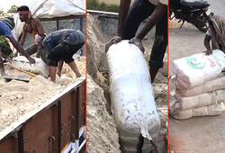 Andhra Pradesh: DRI officials seize more than 1,000kg ganja in Vijayawada