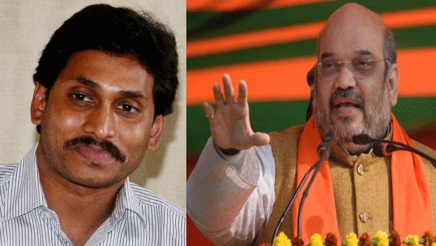 ఎన్డీఎలో చేరితే కేంద్రంలో వైఎస్సార్ కాంగ్రెసు పార్టీకి రెండు మంత్రి పదవులు ఇస్తామని ప్రధాని నరేంద్ర మోడీ ఇటీవలి ఢిల్లీ పర్యటనలో జగన్ కు హామీ ఇచ్చినట్లు తెలుస్తోంది. ప్రధాని మోడీని ఒక్కరినే కలవాల్సిన జగన్ అందువల్లనే బిజెపి అధ్యక్షుడు అమిత్ షాను కూడా కలిసినట్లు చెబుతున్నారు. ప్రత్యేక హోదా ఇచ్చే పార్టీకి కేంద్రంలో మద్దతు ఇస్తానని వైఎస్ జగన్ గతంలో చెప్పారు