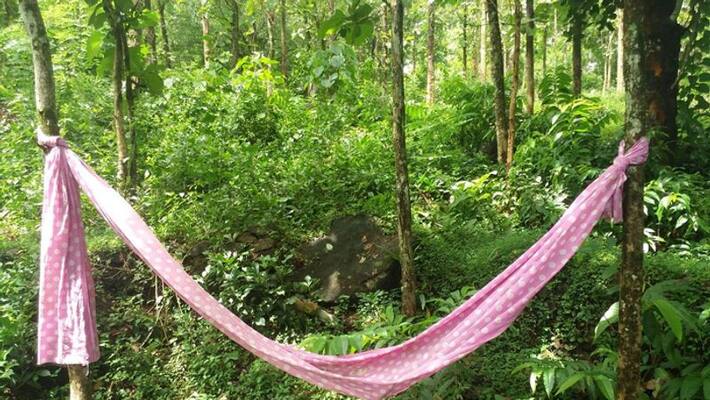 9 years girl died in prakasam district 9 years girl died in prakasam district