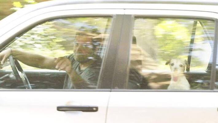 Congress Chief Rahul Gandhi car ride with his dog Congress Chief Rahul Gandhi car ride with his dog