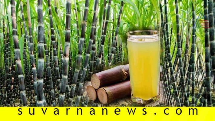 Deficiency cause and prevention for Iron content in sugarcane crop Deficiency cause and prevention for Iron content in sugarcane crop