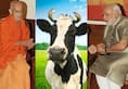 Karnataka Pejawar urges PM Modi bring cow protection law says those who kill cows are demons