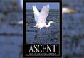 Book review KS Ramachandran Ascent rare work bureaucrat life career
