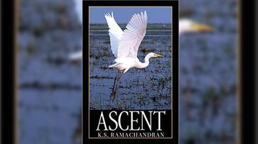 Book review KS Ramachandran Ascent rare work bureaucrat life career
