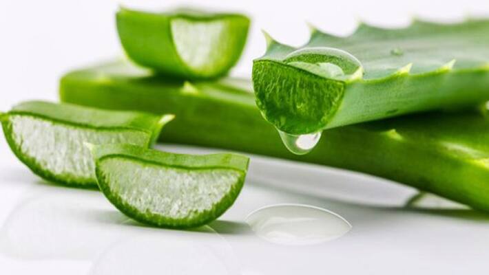 aloe vera gel for glow and healthy skin aloe vera gel for glow and healthy skin