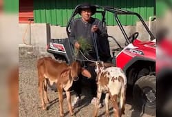 DHARMENDRA SHARE VIDEO FROM HIS FARM HOUSE