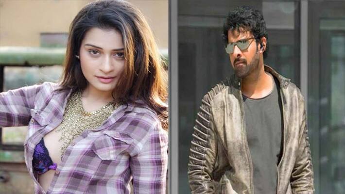 Payal Rajput to perform one more item number Payal Rajput to perform one more item number