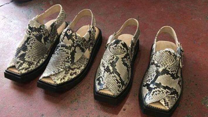 Shoemaker fined 50000 over making of sandals with snake skin Shoemaker fined 50000 over making of sandals with snake skin