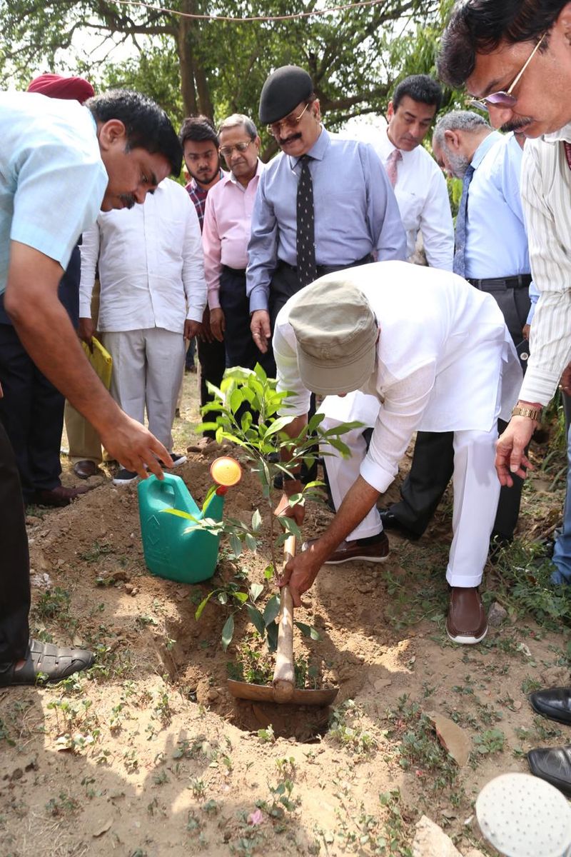 న్యూఢిల్లీలోని ఎపి భవన్ లో మొక్కలు నాటిన కేంద్ర హోం శాఖ సహాయ మంత్రి జి. కిషన్ రెడ్డి