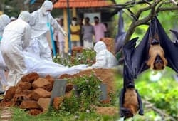 Kerala Nipah patient recovering 5 await test results