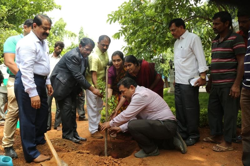 BBMP celebrates World Environment Day