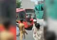 Delhi turned into Kashmir: Mob vandalizes public property, destroys 6 buses in Shahdara