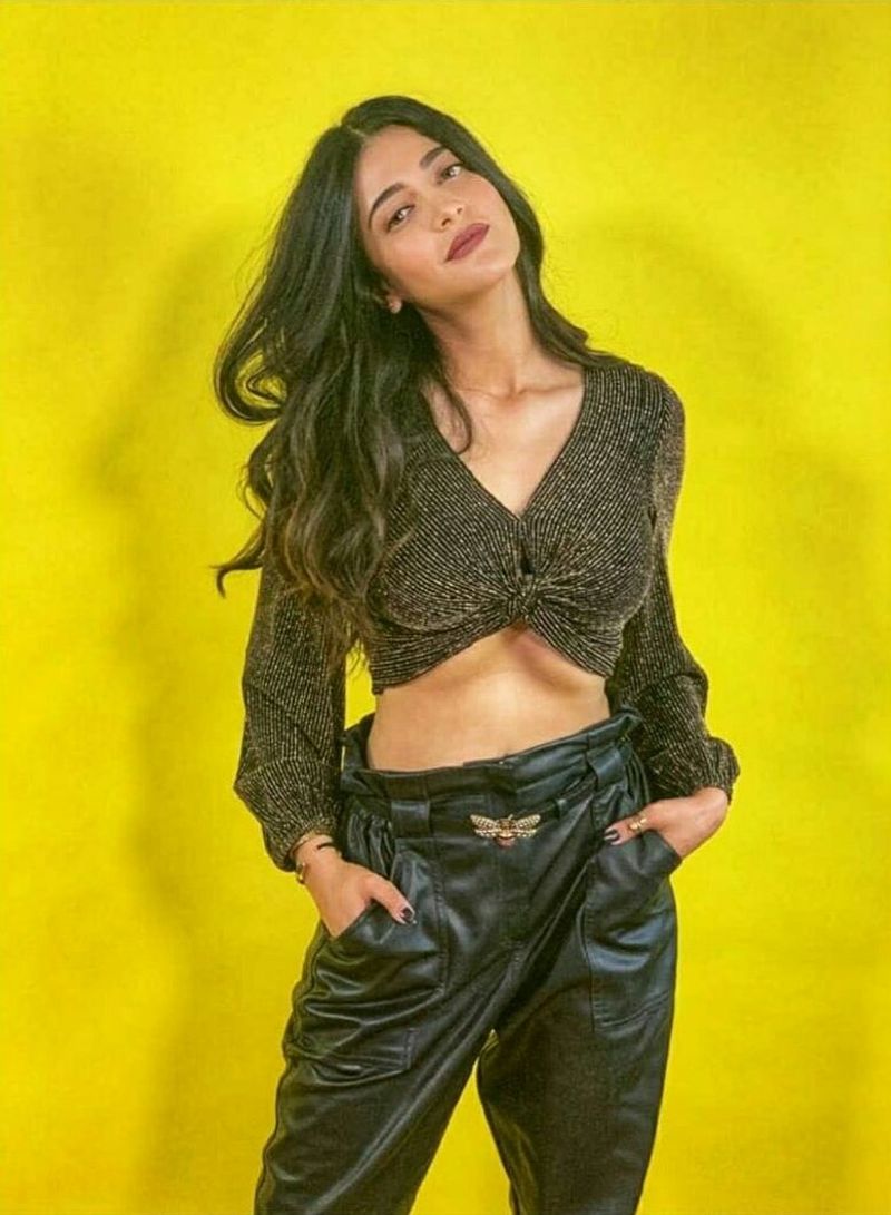 Actress Shruti Haasan Hot Sills