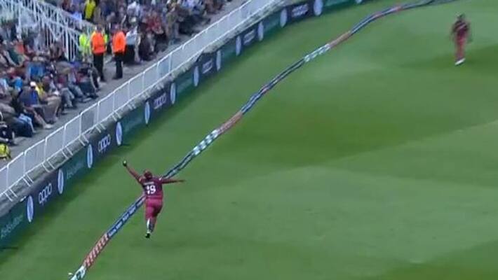 world cup 2019: cottrell super catch in ausis match world cup 2019: cottrell super catch in ausis match