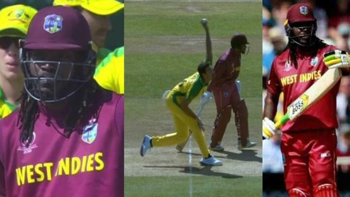 umpires careless cost gayles wicket in australia vs west indies match umpires careless cost gayles wicket in australia vs west indies match