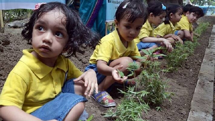 Now plant trees to get passing certificates in Philippines Now plant trees to get passing certificates in Philippines