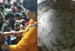 Lakhs people throng Hyderabad consume medicinal fish