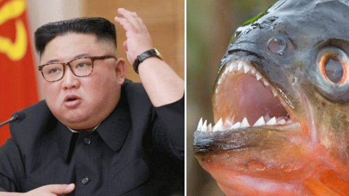Kim Jong-un throws general into piranha-filled fish Kim Jong-un throws general into piranha-filled fish