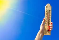 Heatwaves to continue in Tamil Nadu, Telangana; respite for Kerala, Karnataka