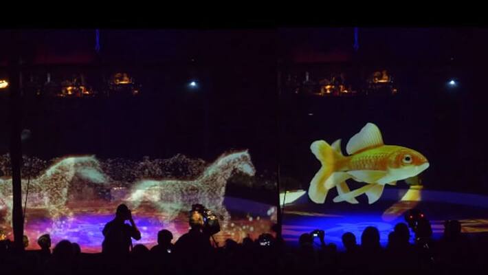 Circus Ronacalli Uses 3D Holograms Instead Of Animals To Fight Cruelty Circus Ronacalli Uses 3D Holograms Instead Of Animals To Fight Cruelty