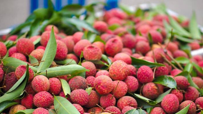 three health benefits of lychee fruit three health benefits of lychee fruit