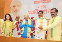 Amit Shah to continue as BJP chief likely by December