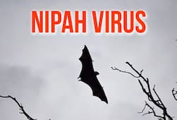 Puducherry Nipah suspect still critical epidemiologists list out people came contact patient