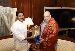 Jagan requests Shah to soften PM Modis heart on Andhra Pradeshs special category status