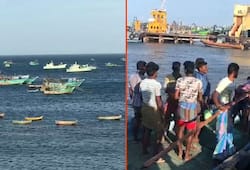 Tamil Nadu fishermen violate rules; venture into sea before govt lifts ban