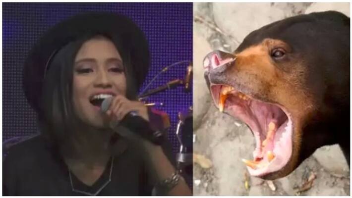 malaysian singer arrest for pets issue malaysian singer arrest for pets issue