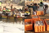 Tamil Nadu fishermen return big catch small income seek govt intervention