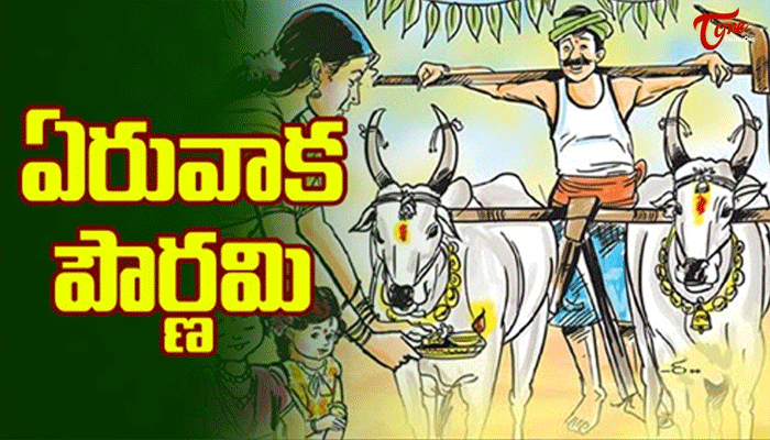 significance of Eruvaka Poornima significance of Eruvaka Poornima
