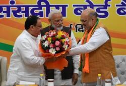 J P Nadda appointed BJP working president, Amit Shah to remain party chief