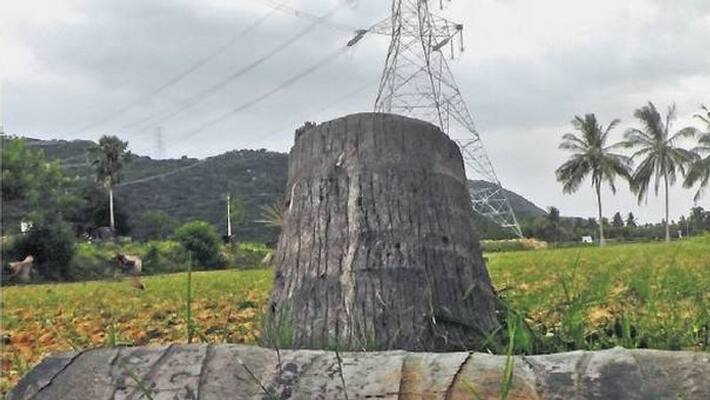 Small village affected from electric tower near erode Small village affected from electric tower near erode