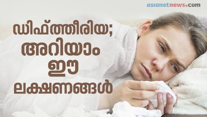 symptoms of diphtheria symptoms of diphtheria